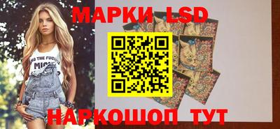 Альфа ПВП Новодвинск