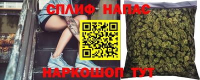 Альфа ПВП Новодвинск