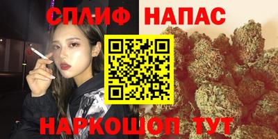 Альфа ПВП Новодвинск