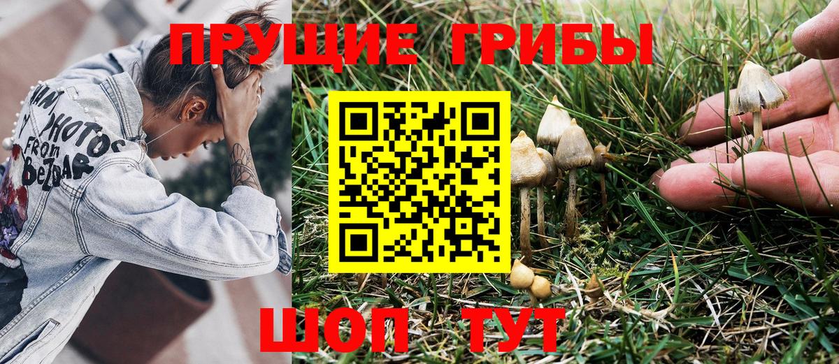 Псилоцибиновые грибы MAGIC MUSHROOMS Солнечногорск